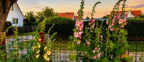 A garden with flowering plants and a white building with a red roof.