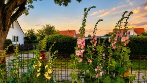 A garden with flowering plants and a white building with a red roof.