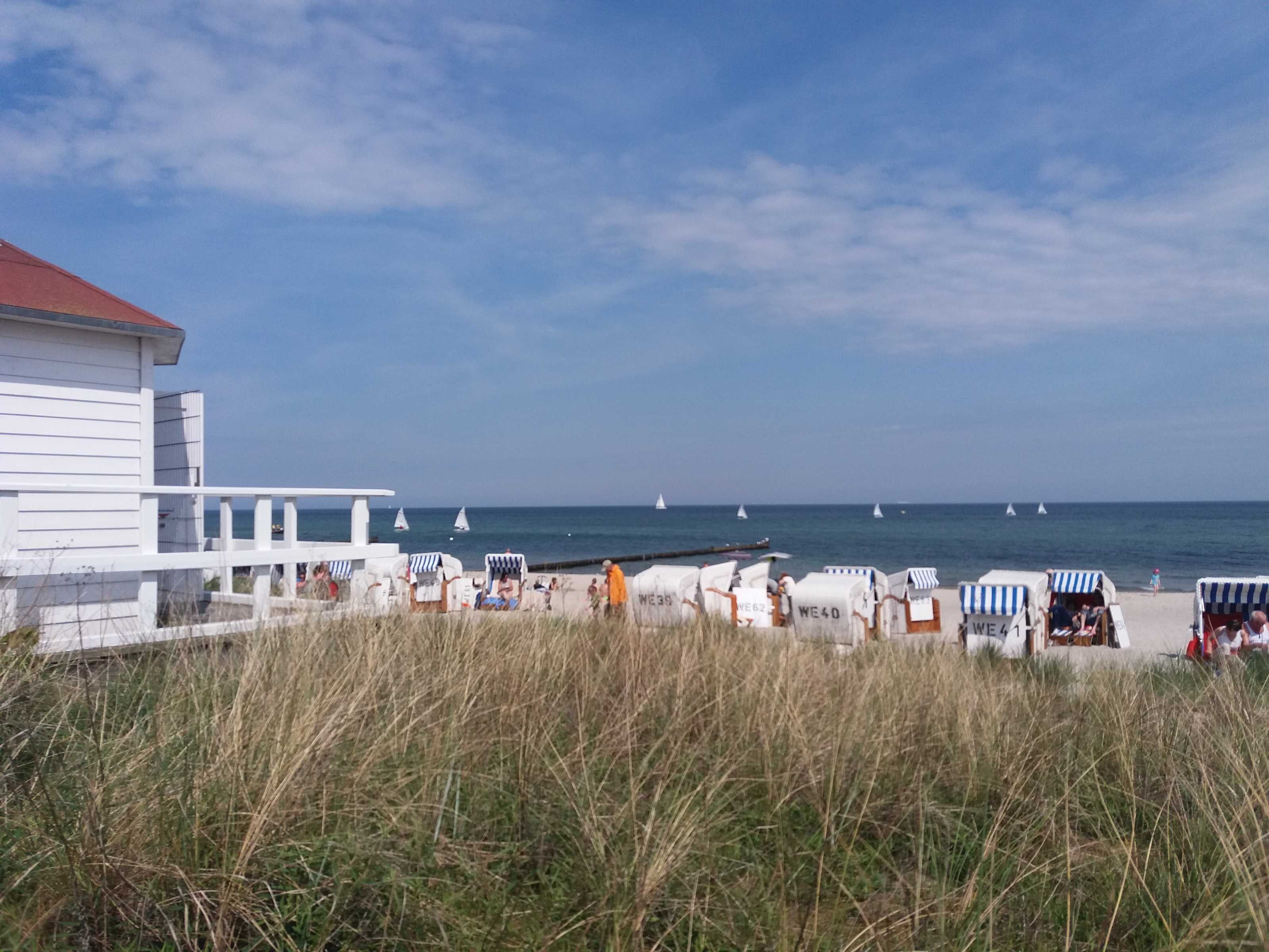 Playa en los alrededores 