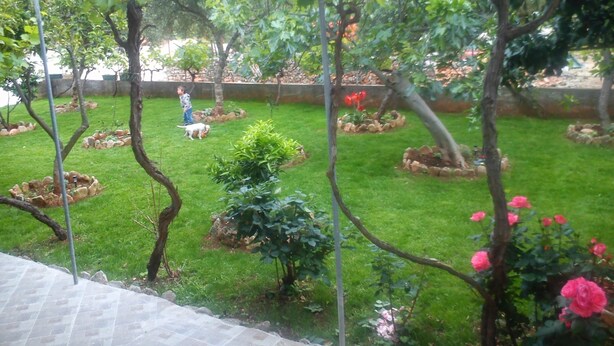 Estudio, fumadores, balcón | Jardín