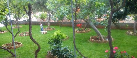 Studio, Multiple Bedrooms, Smoking, Balcony | Garden