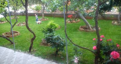 Pansion Ivan, Sućuraj