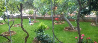 Pansion Ivan, Sućuraj