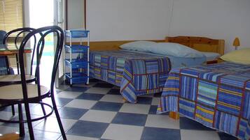 Studio, Accessible, Smoking | 1 bedroom, iron/ironing board