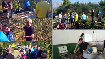 Estúdio, vários quartos, acessível, para fumantes | Fachada