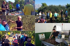 Studio, plusieurs chambres, accessible aux personnes à mobilité réduite, fumeurs | Extérieur