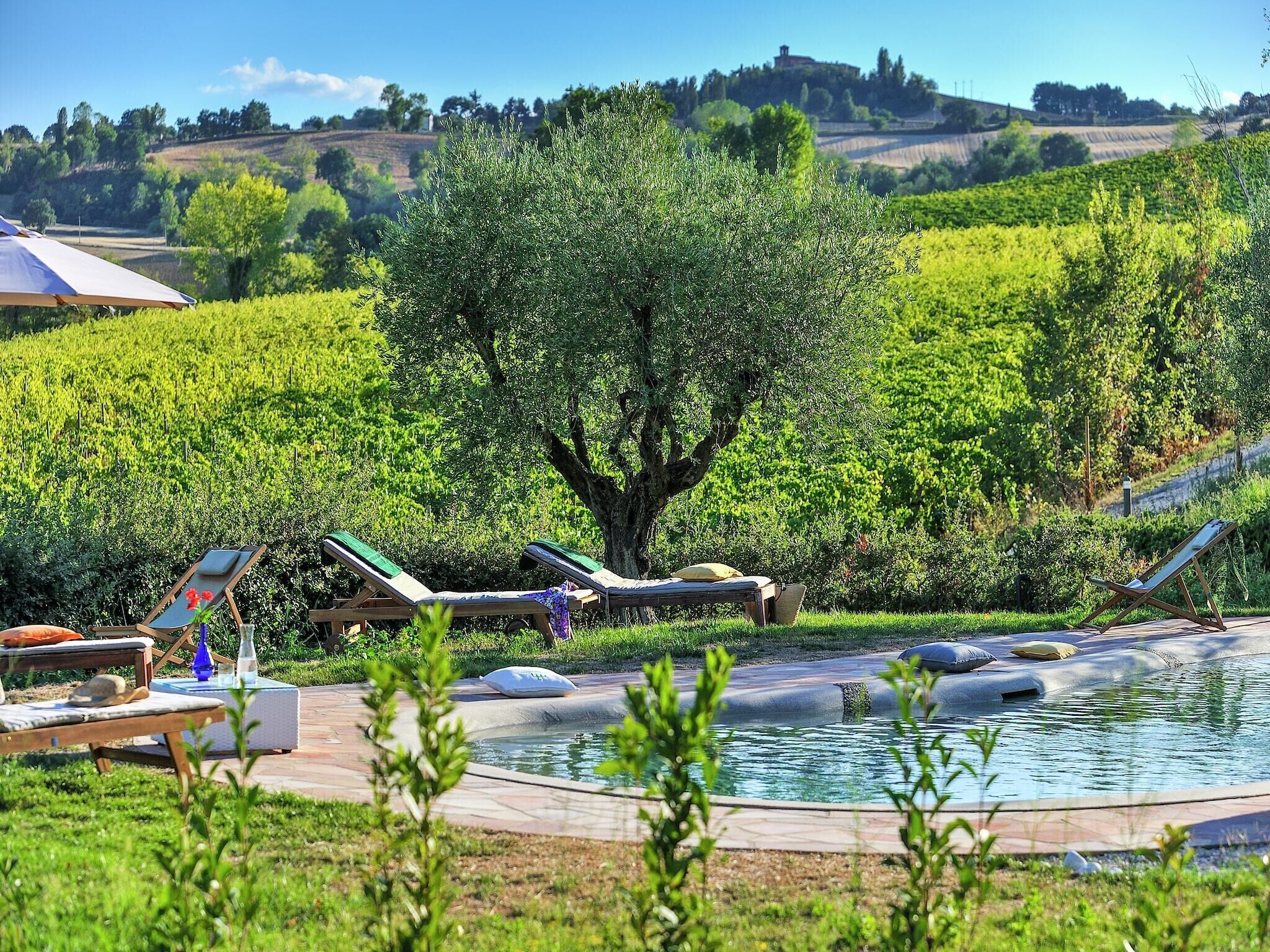 Holiday Home Swimming Pool