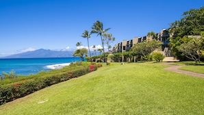 A resort with a well-maintained lawn, palm trees, and a view of the ocean.