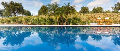 Ein Swimmingpool mit deutlichen Spiegelungen von Palmen und einem Hügel mit spärlicher Vegetation.