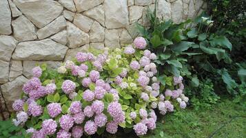 Room, 1 Bedroom, Smoking, Balcony | Garden