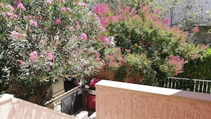 حديقة