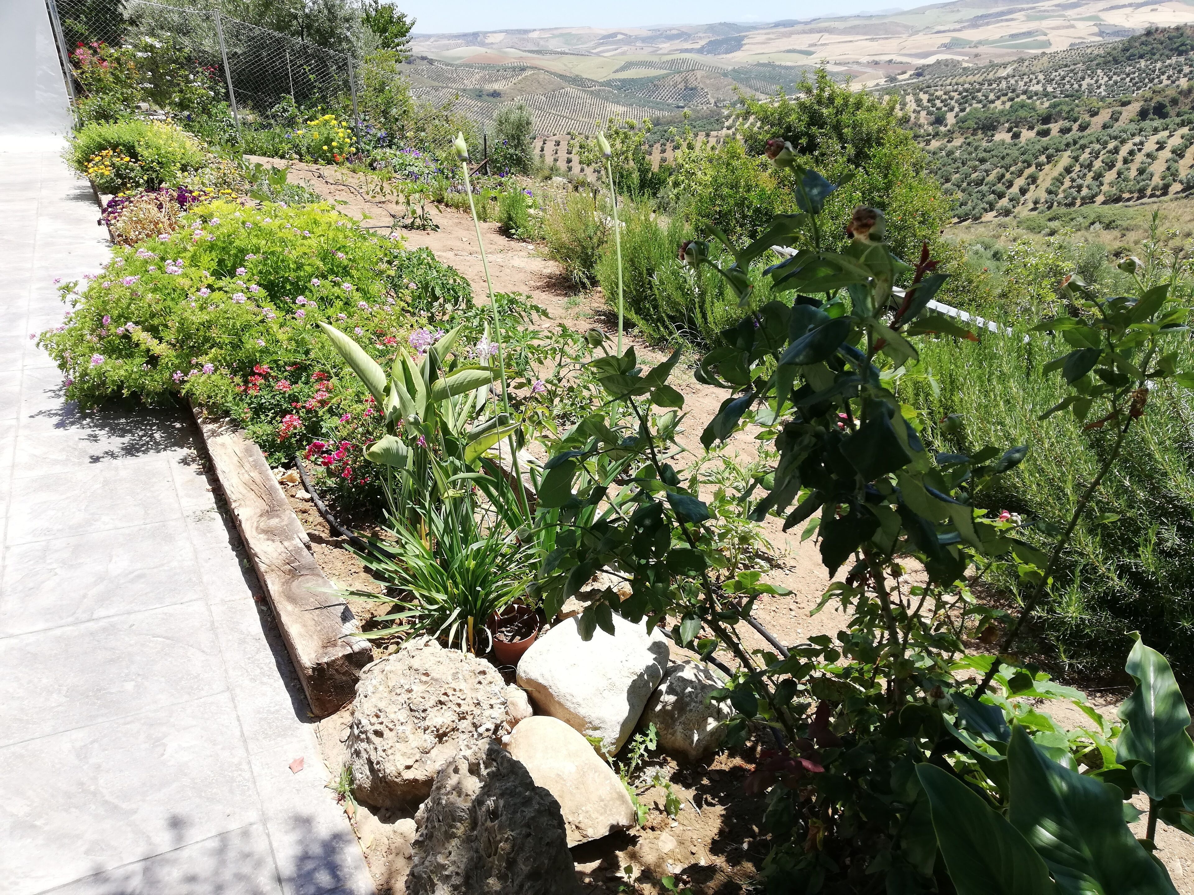 Jardines del alojamiento