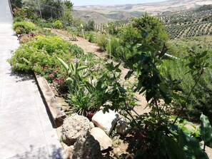 Property grounds - Huerta Los Prados, Paradise On Earth (Ronda)