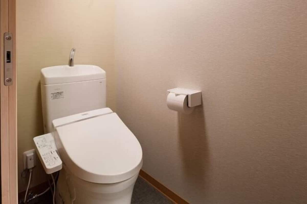 Separate tub and shower, free toiletries, hair dryer, towels