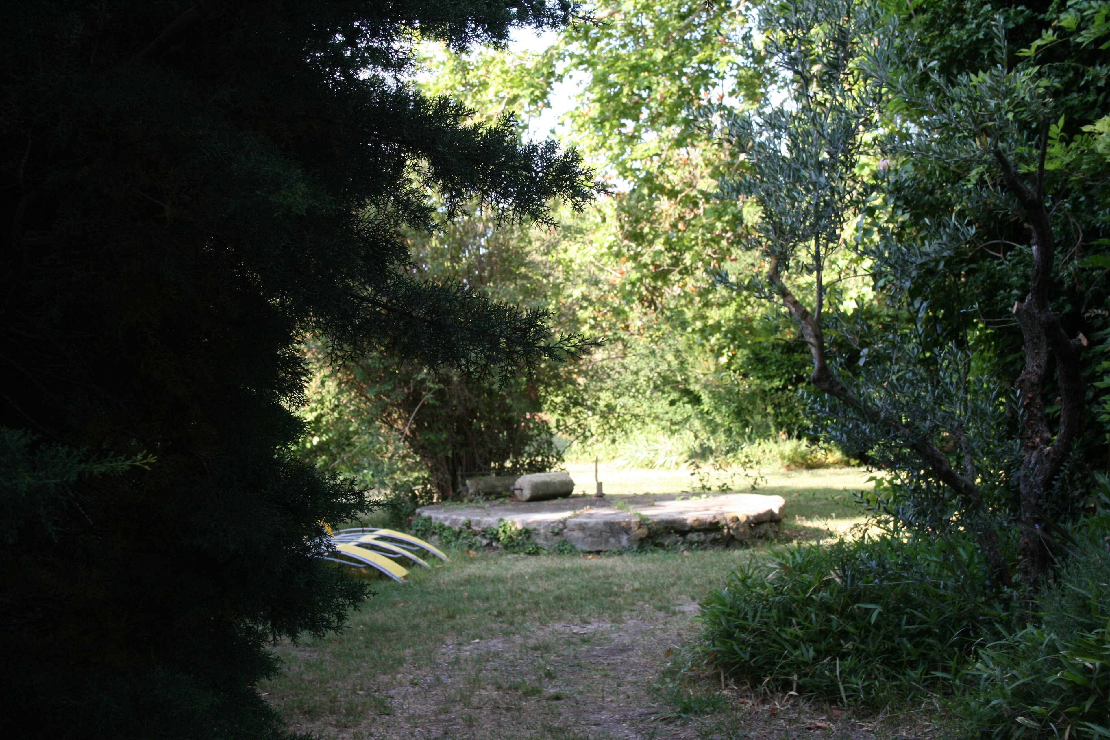 A pathway through a garden with trees and a stone bench.