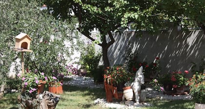 Family Apartment Mirela Borik