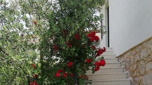 Unclassified image, 4 of 28, button - Vacation House Dunja (Runovici)