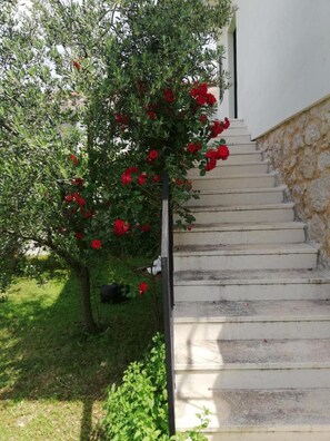 House, 3 Bedrooms, Smoking, Balcony | Property entrance - Vacation House Dunja (Runovici)