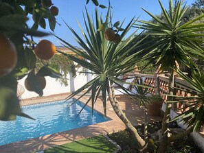 Utendørsbasseng, et oppvarmet basseng og solsenger