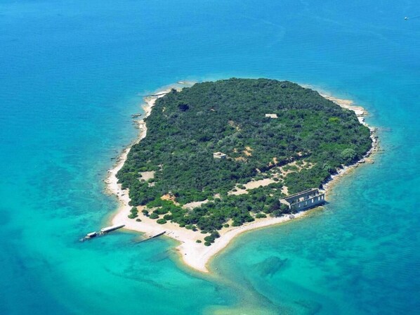 Escape to a serene island paradise surrounded by lush forests and turquoise waters.