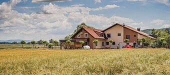 Lux Living Apartment Budic