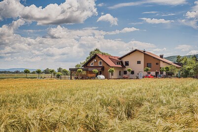 Lux Living Apartment Budic