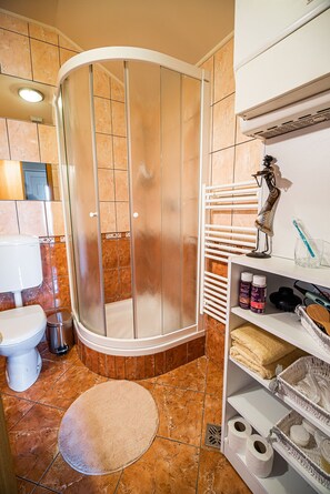 Studio (Studio) | Bathroom | Shower, towels