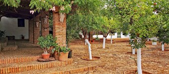 " Finca La Fuensanta "
