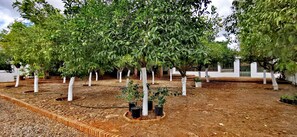 المنطقة المحيطة بالمنشأة