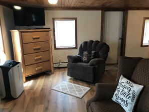 TV, fireplace, DVD player, video library