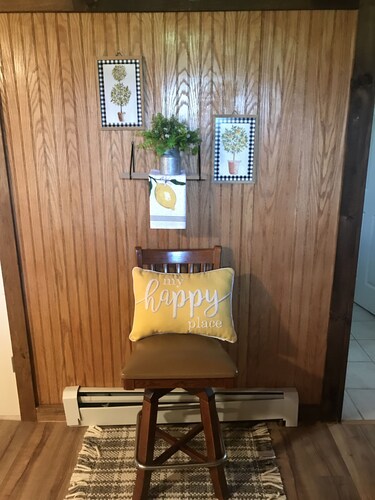 Newly Renovated Rustic Cabin w/WiFi in the Heart of the Finger Lakes