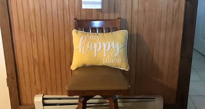 Newly Renovated Rustic Cabin w/WiFi in the Heart of the Finger Lakes