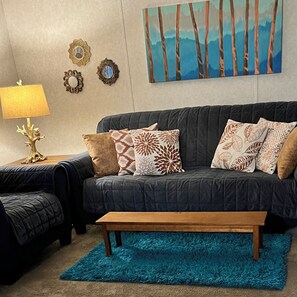 Smart TV, DVD player, books, music library