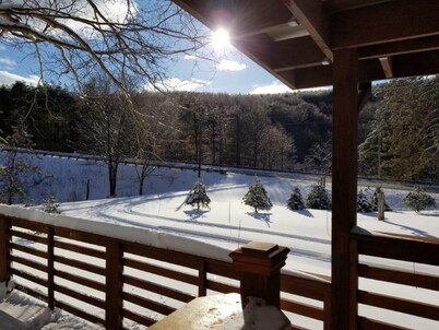 AN OWL and the MOON.  Get-Away in Mohican State Park. Location perfect!