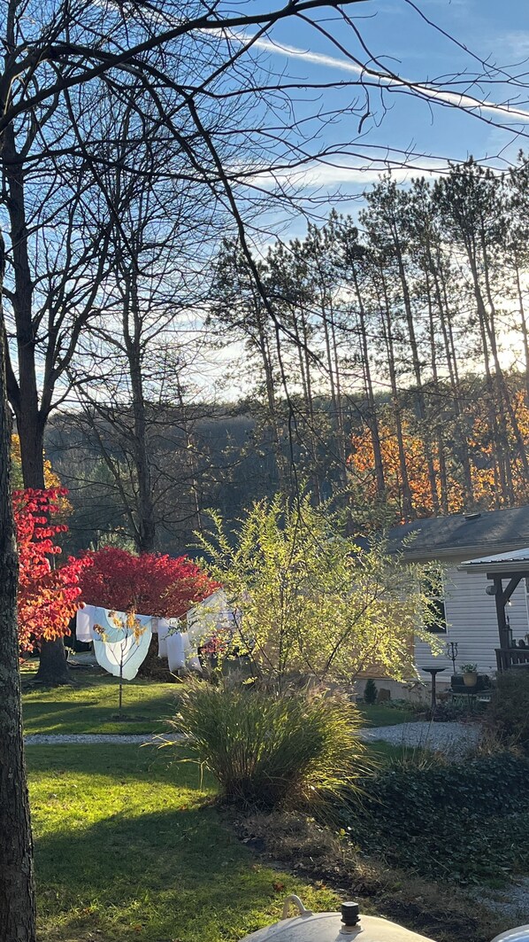 Un jardin avec des arbres, une pelouse et une maison dotée d’un porche.