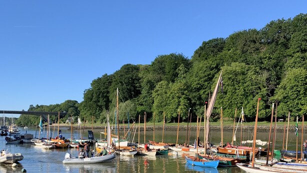 Een jachthaven met aan wal liggende boten, omringd door bomen en een heldere lucht.