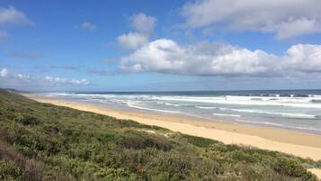 Rannalla, aurinkotuoleja