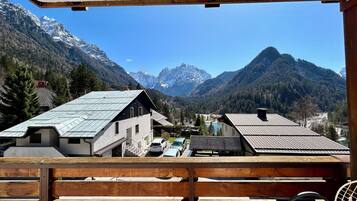 Classic Apartment (Two Bedroom Apartment) | Terrace/patio