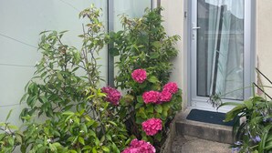 A residential area with a door, steps, and various plants including hydrangeas and white flowers.