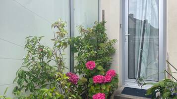 Un quartier résidentiel avec une porte, des marches et diverses plantes, notamment des hortensias et des fleurs blanches.