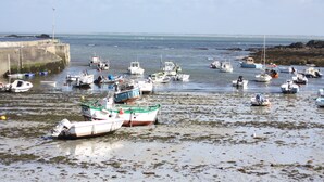 A harbor with various boats docked and anchored.