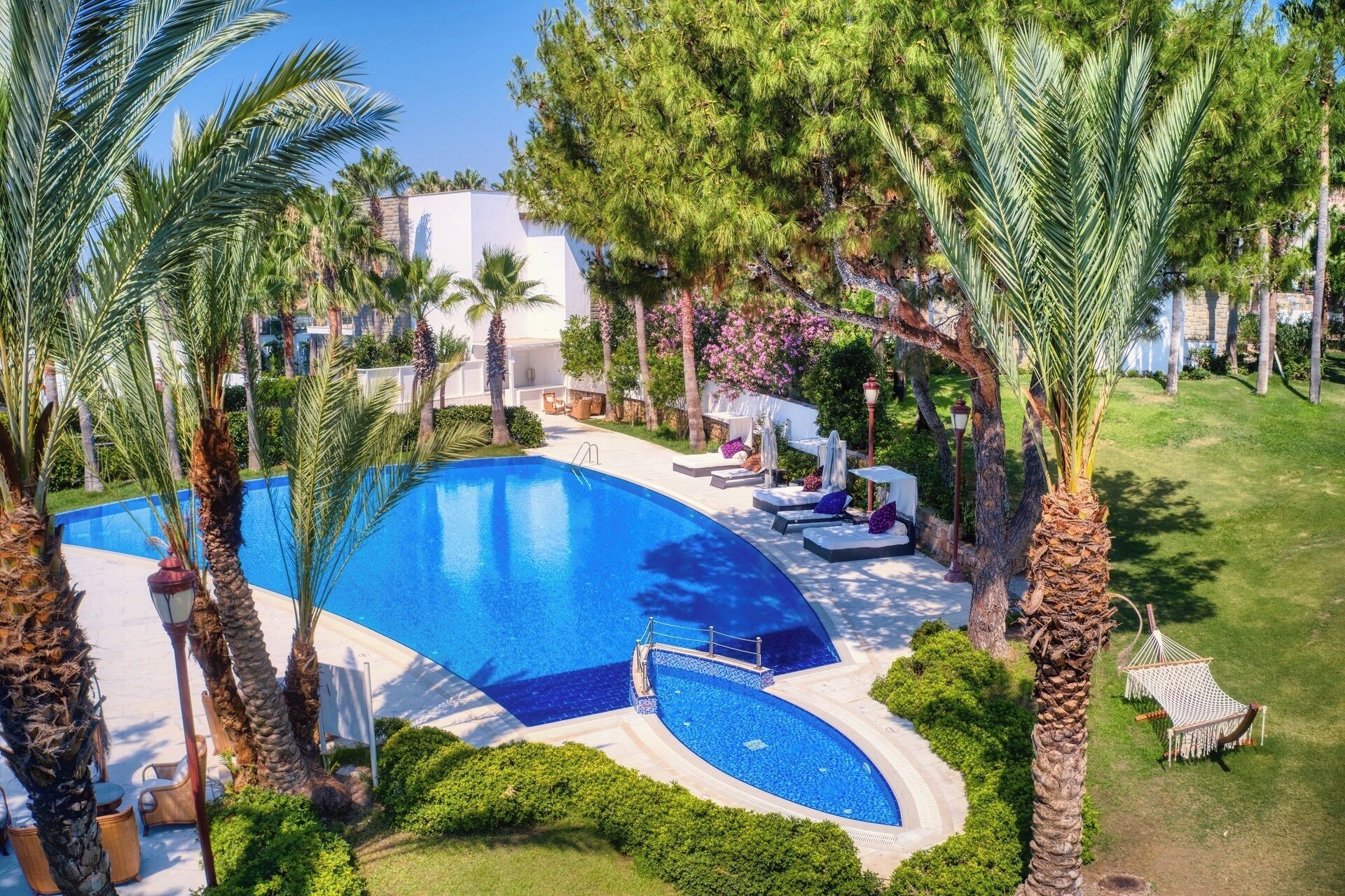 palm suite | view from room