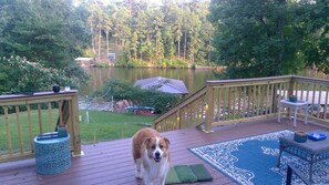 Property grounds - Lake Cabin Minutes from Oaklawn Race Track and Casino, Hiking Trails, Downtown (Hot Springs)
