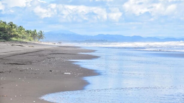 Strand