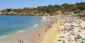 Playa en los alrededores 