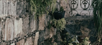 Meson Verde Oscuro