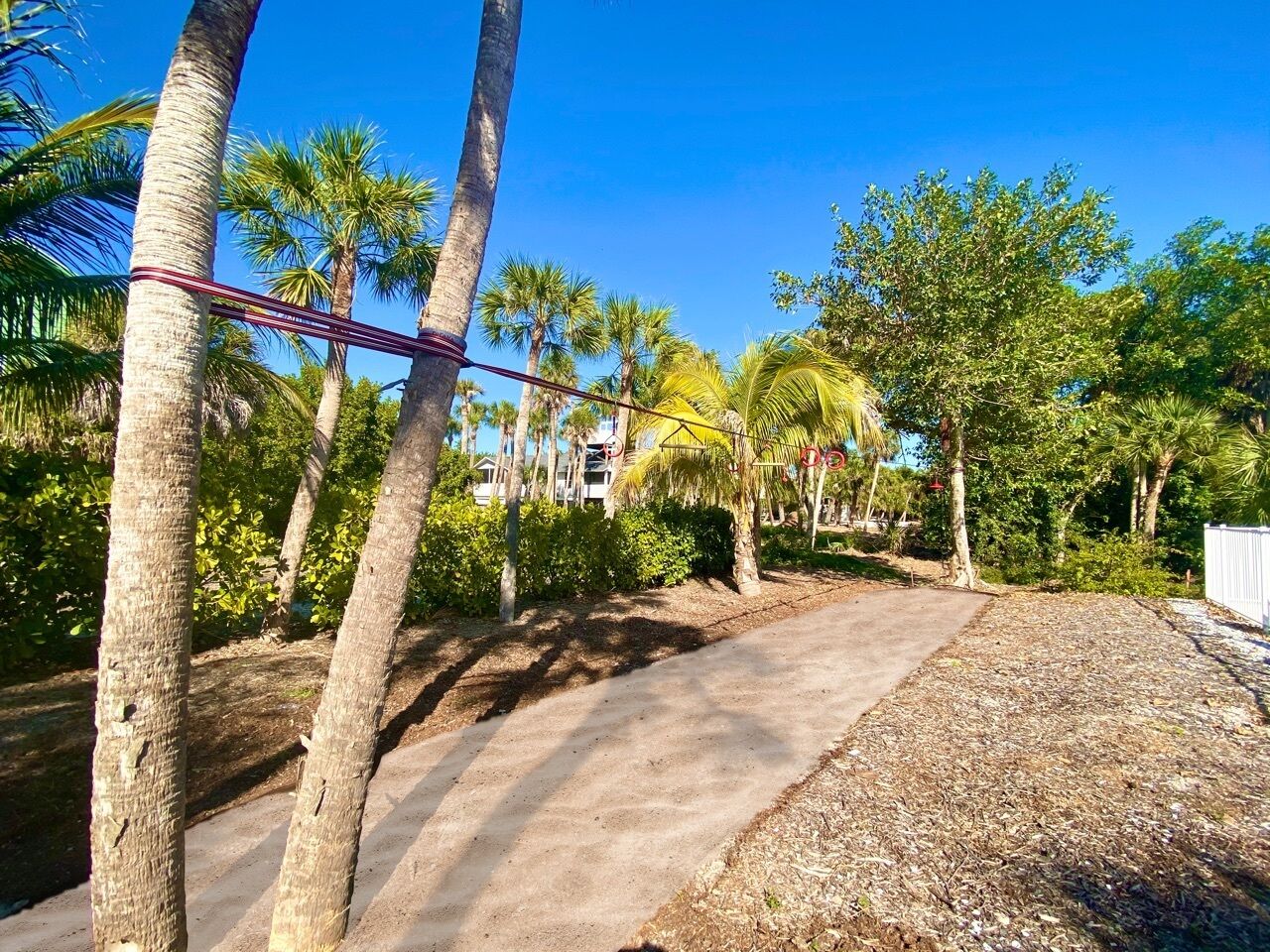 A paved pathway flanked by palm trees and greenery, leading to a building with a white fence.