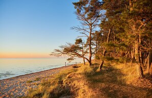 In Strandnähe