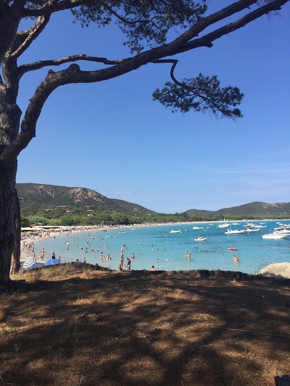 Plage à proximité