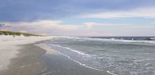 بالقرب من الشاطئ